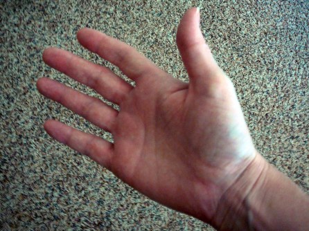 Bilderesultat for right hand